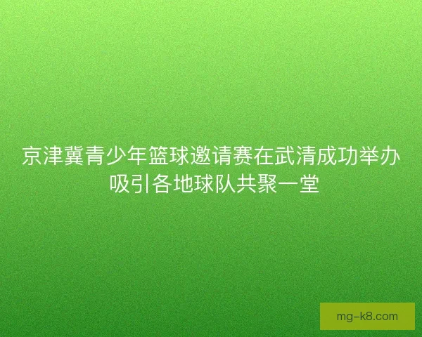 京津冀青少年篮球邀请赛在武清成功举办 吸引各地球队共聚一堂