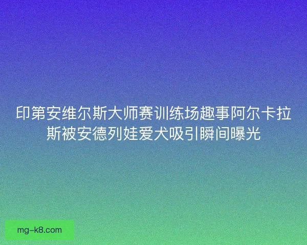 印第安维尔斯大师赛训练场趣事阿尔卡拉斯被安德列娃爱犬吸引瞬间曝光